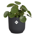 vibes fold rond 25cm antraciet